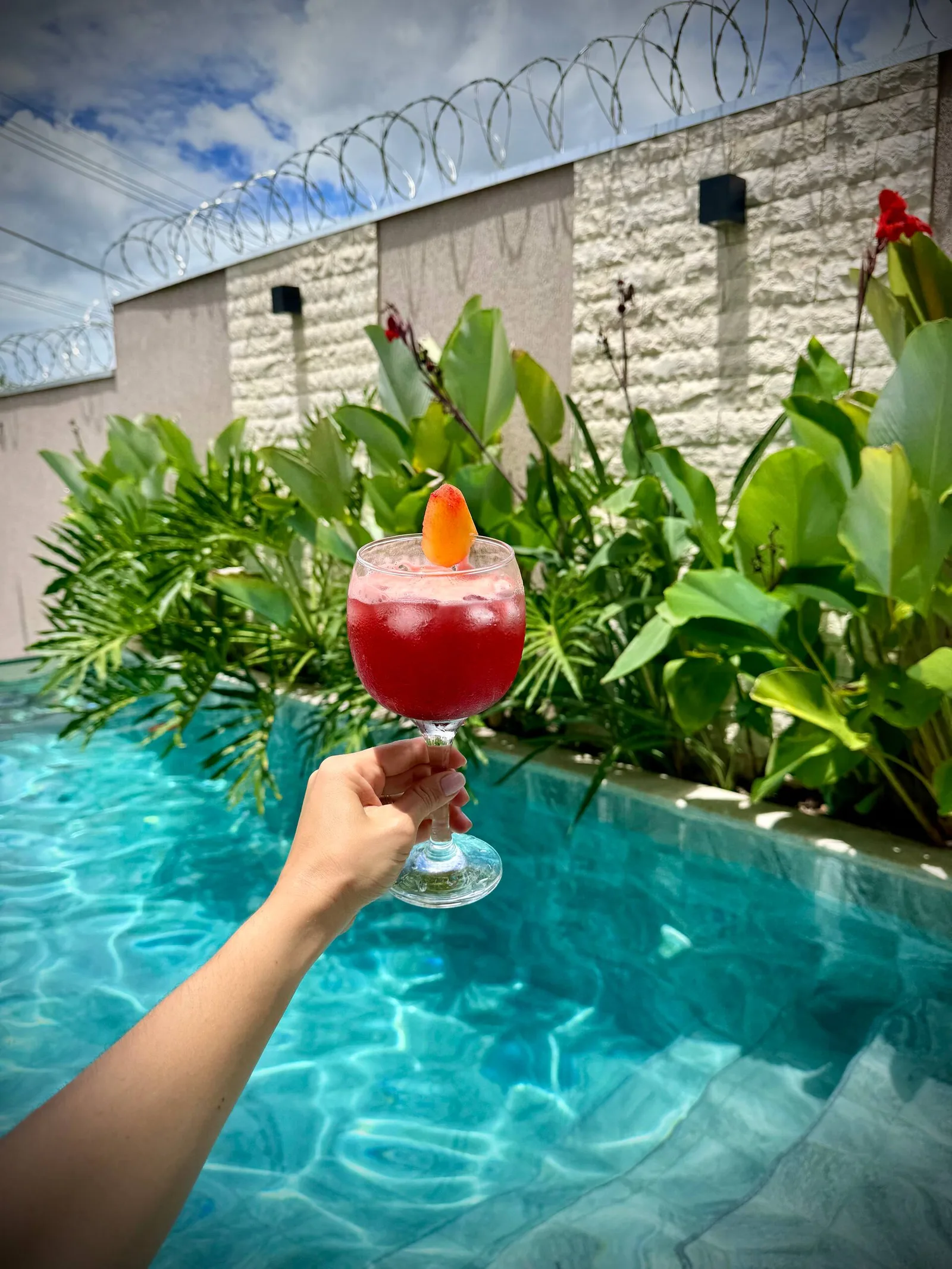 Um brinde à beira da piscina, luz da tarde